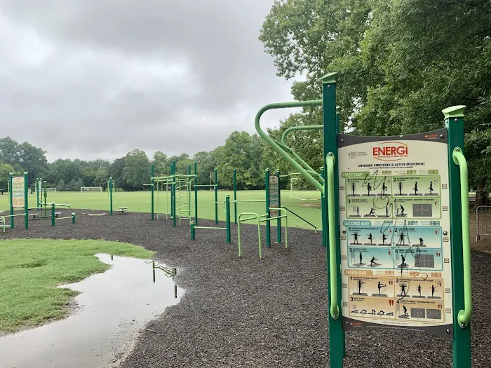 Active Oval Exercise Equipment / Calisthenics Park Picture 8