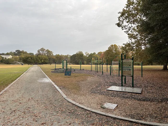Active Oval Exercise Equipment / Calisthenics Park Picture 3