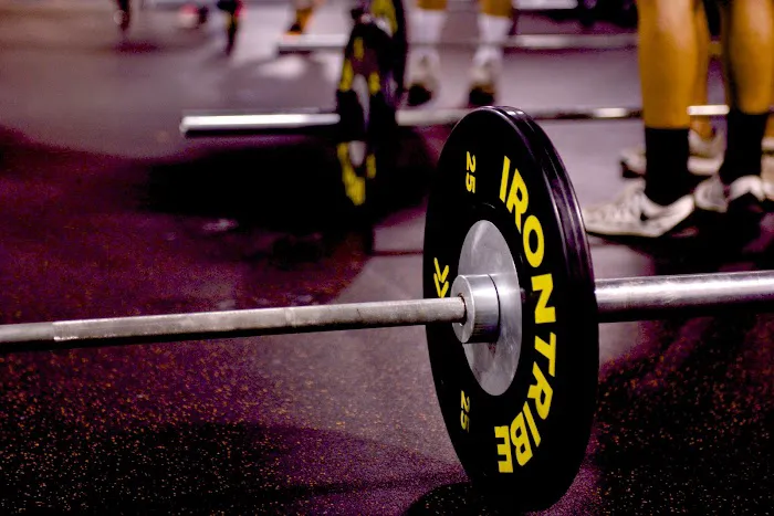 Iron Tribe Fitness Picture 1