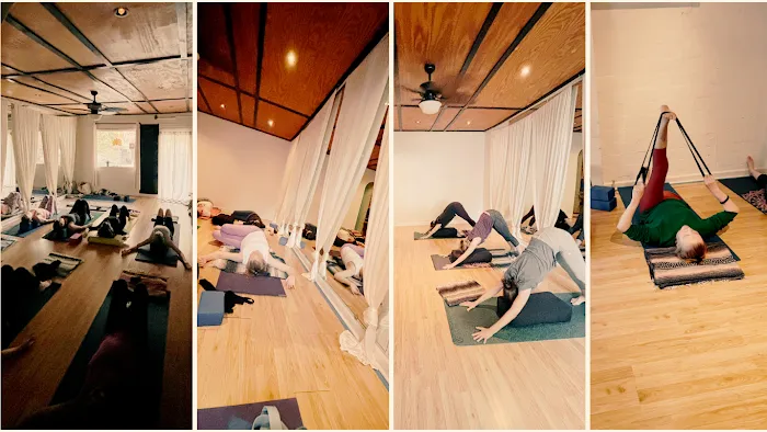 Mystic Lotus Yoga Picture 3