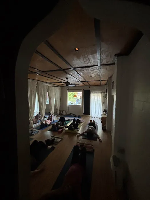 Mystic Lotus Yoga Picture 2