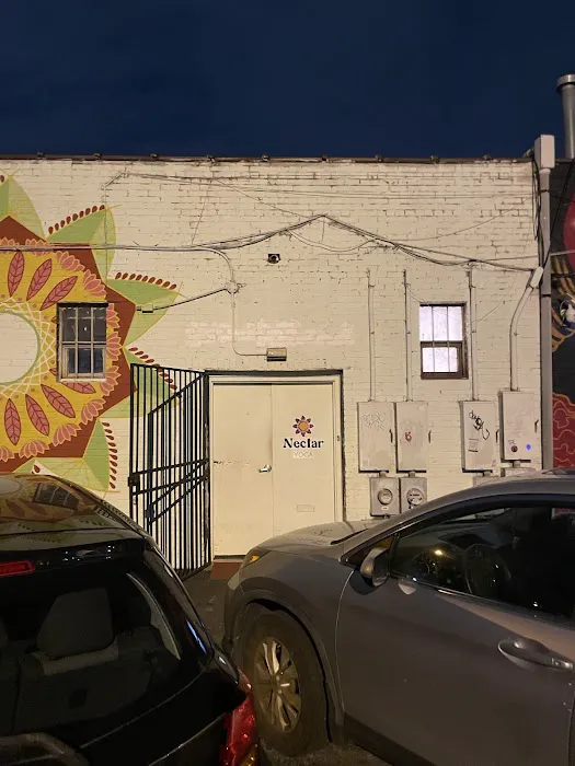 Nectar Yoga Picture 4