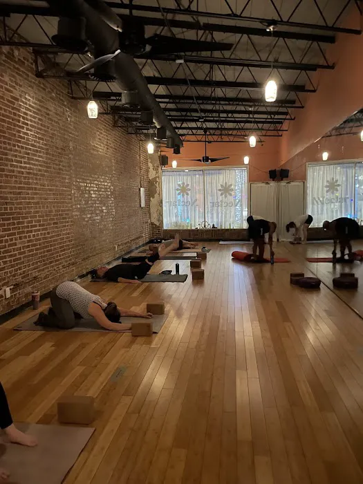 Nectar Yoga Picture 2