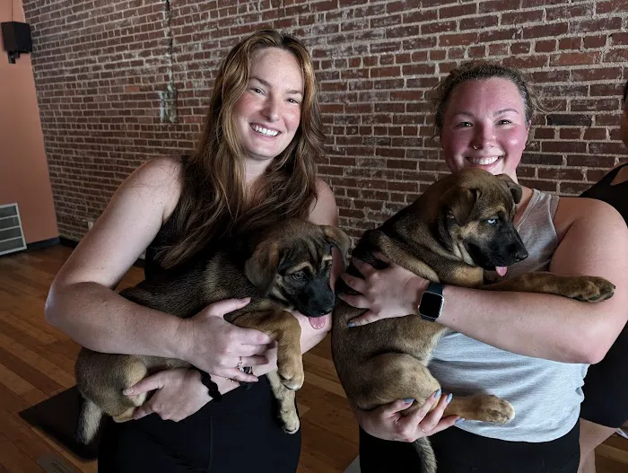 Nectar Yoga Picture 6