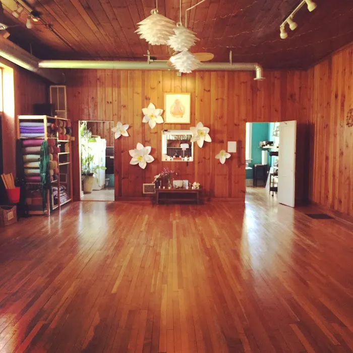 Nirvana Yoga Studios Picture 2