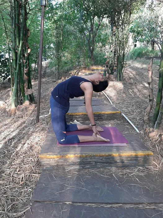 Brinda Yog Studio Picture 10