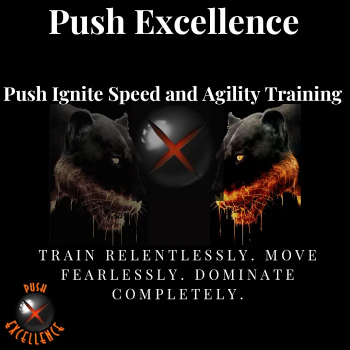 Push Excellence Picture 2