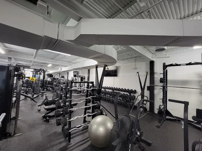 Lion Chaser Fitness Picture 5