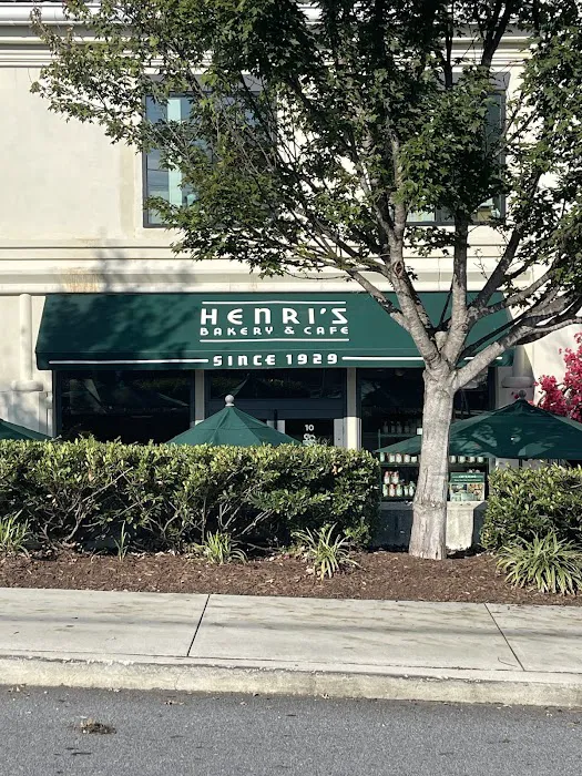 Lion Chaser Fitness Picture 4