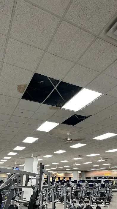 LA Fitness Picture 3