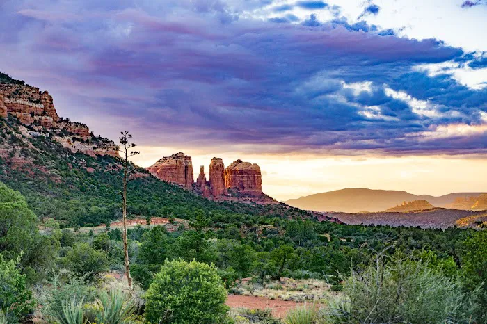 Healthy Living with Hope - John's Creek Yoga Classes Picture 6