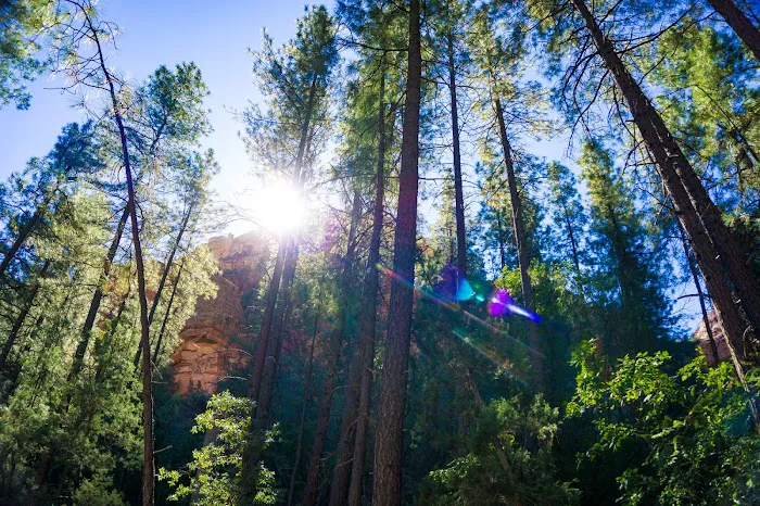 Healthy Living with Hope - John's Creek Yoga Classes Picture 7