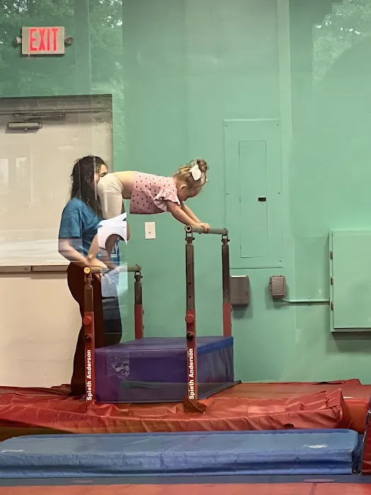 The Little Gym of Alpharetta/Johns Creek Picture 4