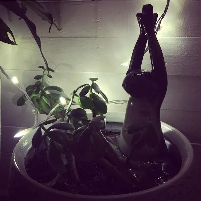 Yoga Poses Daily Picture 8