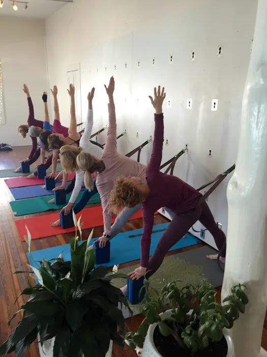 Tend Yoga and Wellness Picture 3