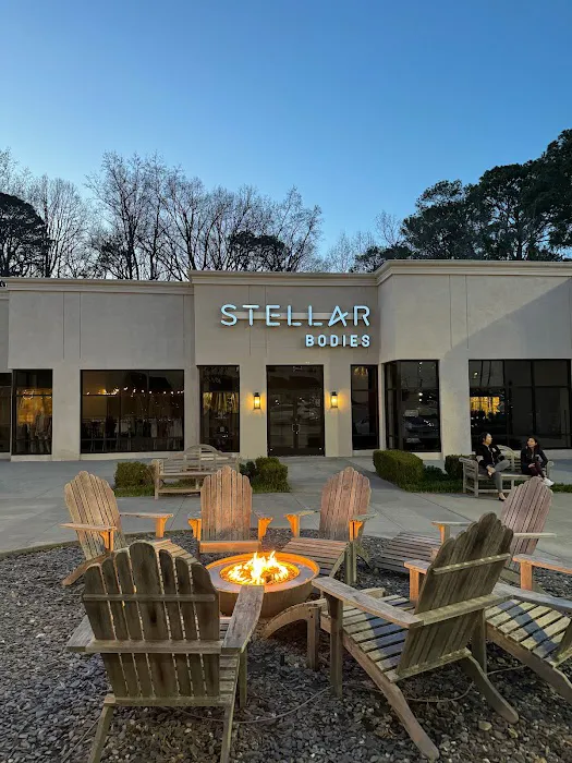 Stellar Bodies Picture 10