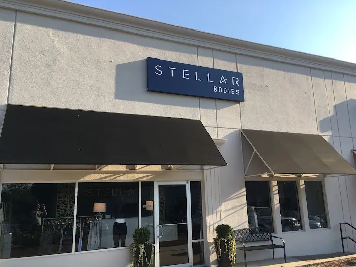 Stellar Bodies Picture 4