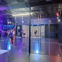 Work It Girl Fitness ico