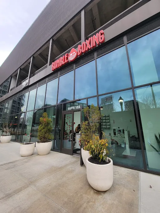 Rumble Boxing Picture 2