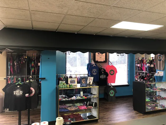 All Around Gymnastics Picture 2