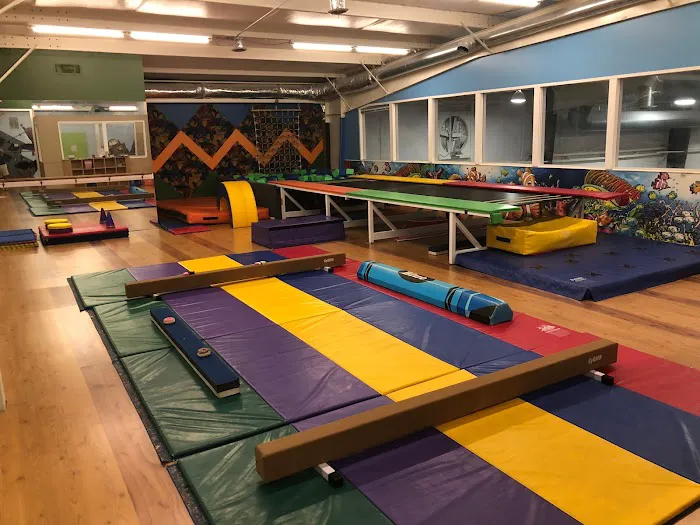 All Around Gymnastics Picture 7