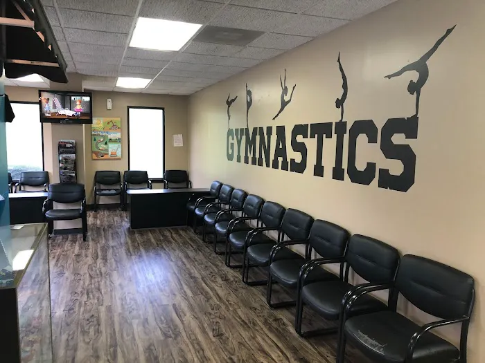 All Around Gymnastics Picture 3