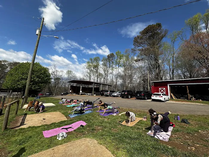 Kidsfull Yoga Picture 3