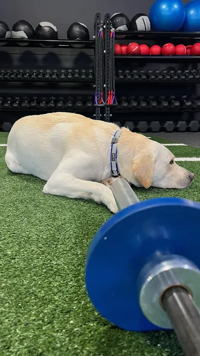 MOVE+breathe - Yoga, Fitness and Sports Performance Picture 3