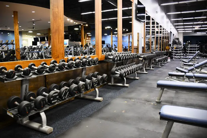 Onelife Fitness - Windermere Gym Picture 5