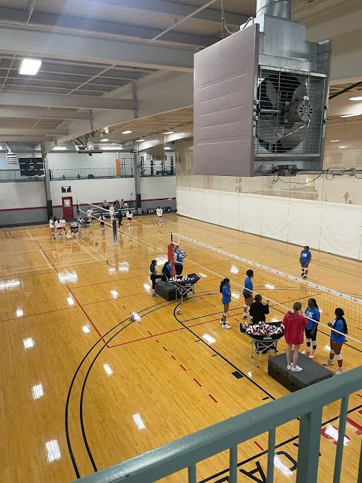 APEX Sports Performance Picture 7