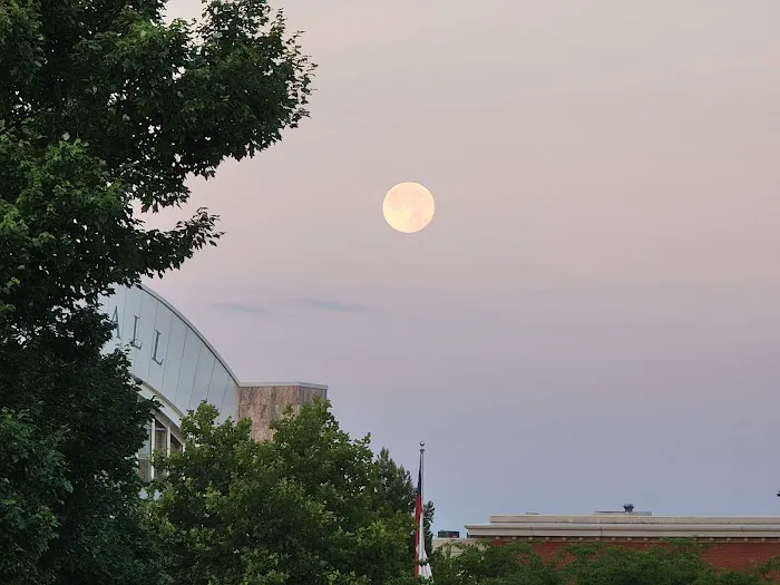 9Round - Suwanee Town Center Picture 7