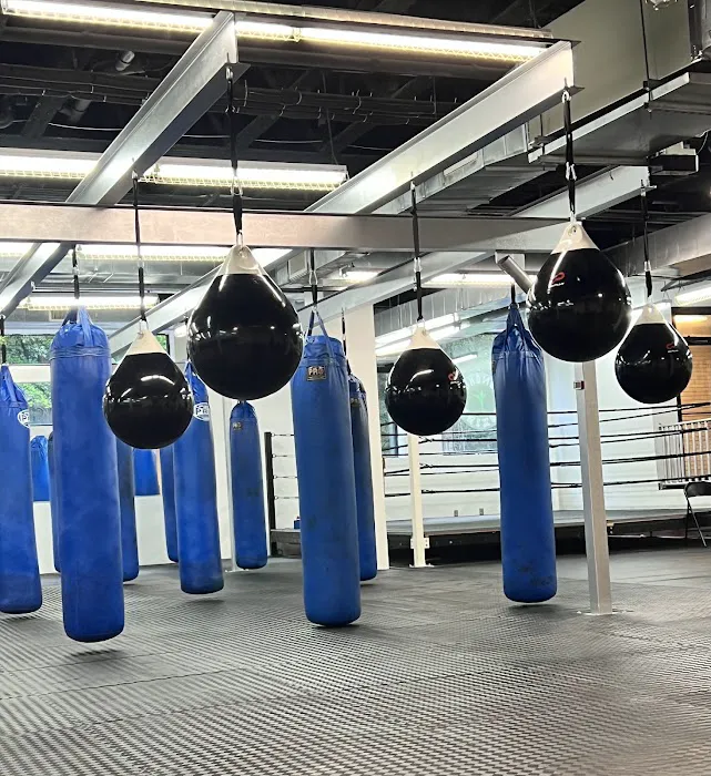 Bangkok Boxing Fitness Picture 6