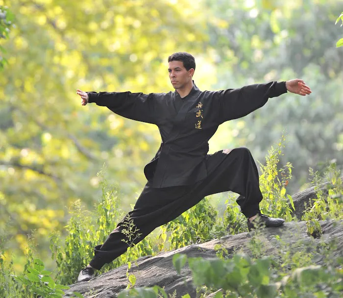 Body & Brain Yoga Tai Chi Picture 4