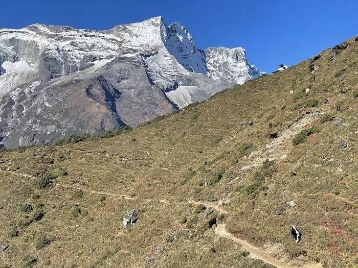 Santosha Studio Picture 3