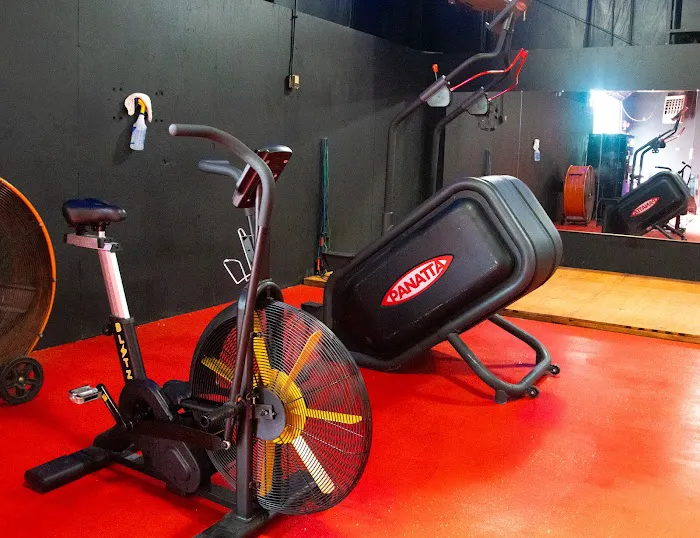 AFighter4Life Boxing & Fitness Picture 4