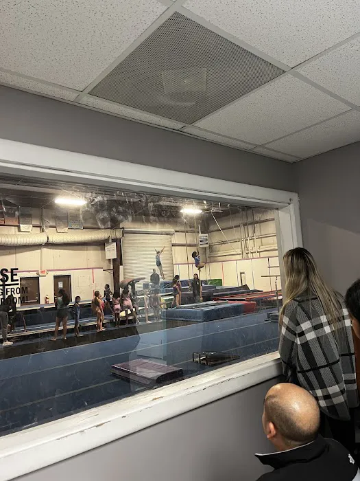 BIO Gymnastics Picture 2