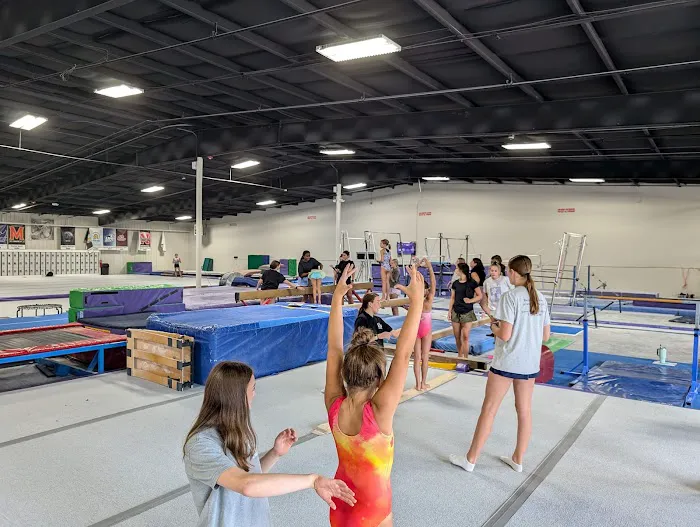 BIO Gymnastics Picture 4