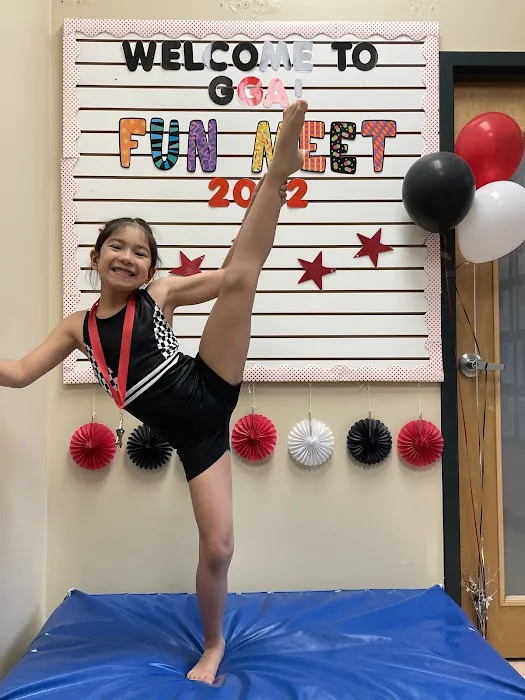 Georgia Gymnastics Academy Inc Picture 4