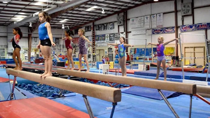 Georgia Gymnastics Academy Inc Picture 6