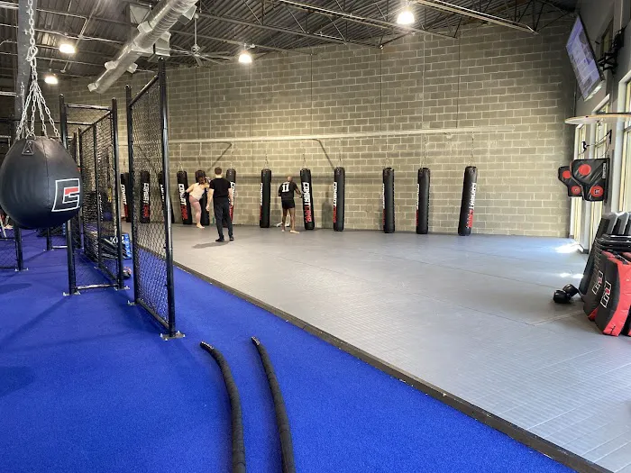 ATL FITNESS 24/7 ALPHARETTA Picture 2