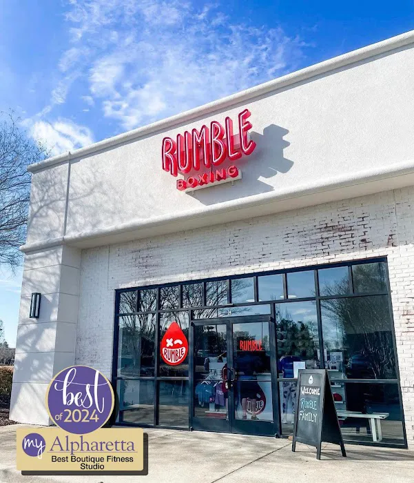 Rumble Boxing Picture 4