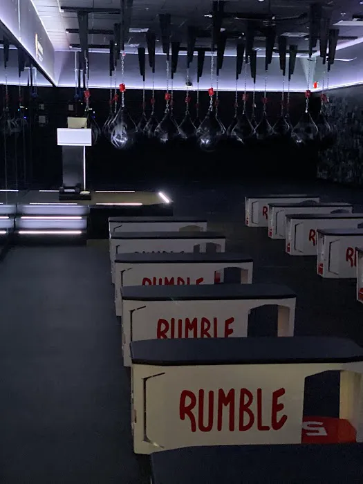 Rumble Boxing Picture 2