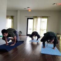 Sharp Venture Classical Yoga ico