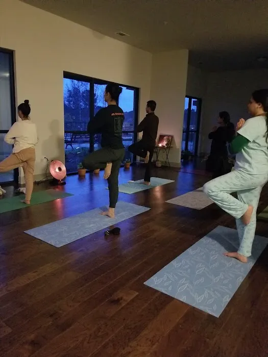 Sharp Venture Classical Yoga Picture 2