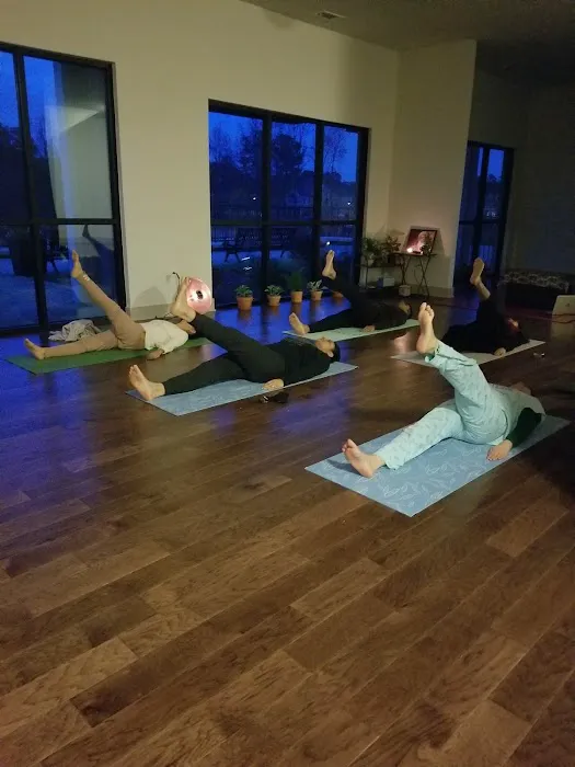 Sharp Venture Classical Yoga Picture 3