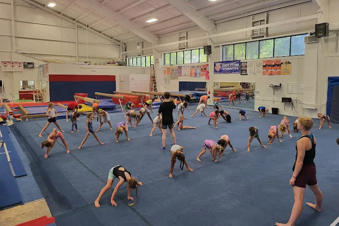 Amplitude Gymnastics Academy Picture 3