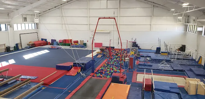 Amplitude Gymnastics Academy Picture 2