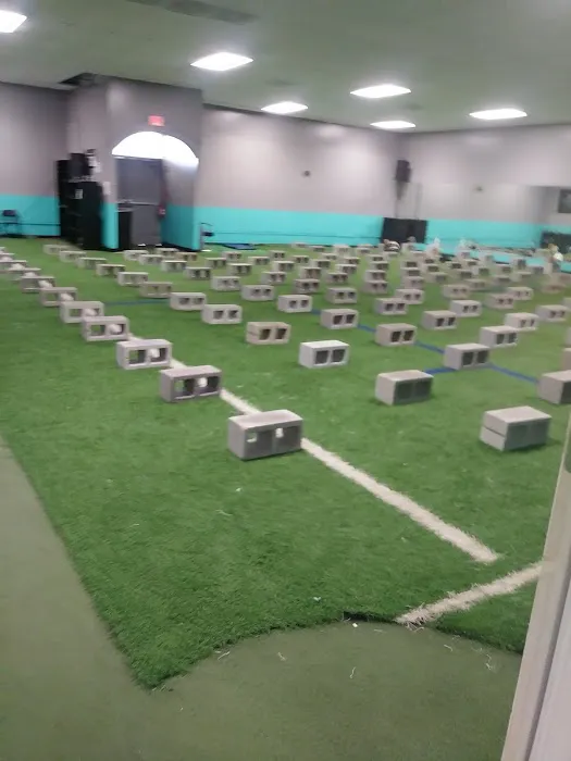 E.F.F.E.C.T Fitness Picture 1