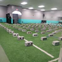 E.F.F.E.C.T Fitness ico