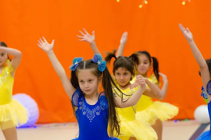 Prima Rhythmic Gymnastics Picture 7